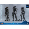 PREORDER - Alien Movie - Figure Alien Warrior, Movie Masterpiece