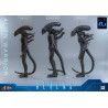 PREORDER - Alien Movie - Figure Alien Warrior, Movie Masterpiece