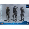 PRÉCOMMANDE - Alien Movie - Figurine Alien Warrior, Movie Masterpiece
