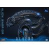 PREORDER - Alien Movie - Figure Alien Warrior, Movie Masterpiece