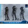 PRÉCOMMANDE - Alien Movie - Figurine Alien Warrior Deluxe, Movie Masterpiece