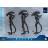 PREORDER - Alien Movie - Figure Alien Warrior Deluxe, Movie Masterpiece