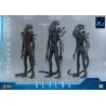 PREORDER - Alien Movie - Figure Alien Warrior Deluxe, Movie Masterpiece