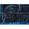 PRÉCOMMANDE - Alien Movie - Figurine Alien Warrior Deluxe, Movie Masterpiece