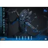 PREORDER - Alien Movie - Figure Alien Warrior Deluxe, Movie Masterpiece