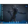 PREORDER - Alien Movie - Figure Alien Warrior Deluxe, Movie Masterpiece
