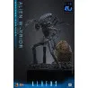PREORDER - Alien Movie - Figure Alien Warrior Deluxe, Movie Masterpiece