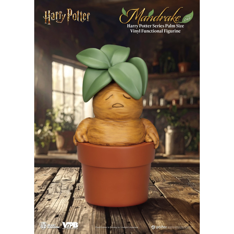 PRÉCOMMANDE - Harry Potter...