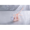 PREORDER - Azur Lane - Figure Sirius, Rabbit of Paradise Special Edition