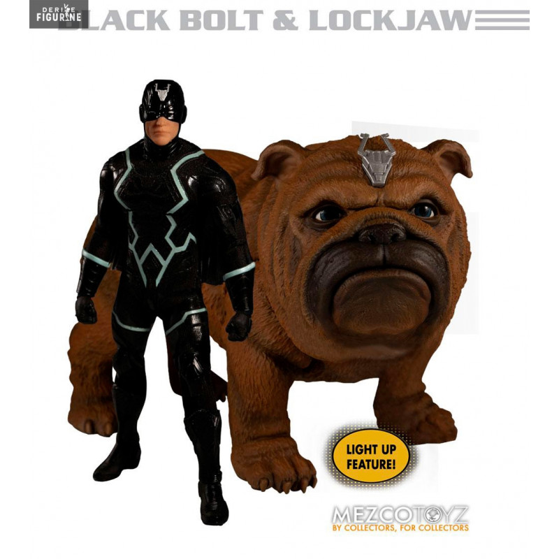 Marvel - Pack 2 figurines Black Bolt & Lockjaw, One:12