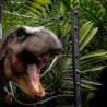 PRE ORDER - Jurassic Park - T-Rex figure Breakout Set A, Icons