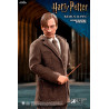 Harry Potter - Remus Lupin figure Classic or Deluxe, My Favourite Movie