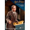 Harry Potter - Remus Lupin figure Classic or Deluxe, My Favourite Movie