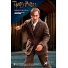 Harry Potter - Remus Lupin figure Classic or Deluxe, My Favourite Movie