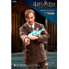 Harry Potter - Remus Lupin figure Classic or Deluxe, My Favourite Movie