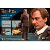 Harry Potter - Remus Lupin figure Classic or Deluxe, My Favourite Movie