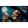 Harry Potter - Remus Lupin figure Classic or Deluxe, My Favourite Movie