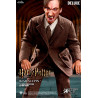Harry Potter - Remus Lupin figure Classic or Deluxe, My Favourite Movie