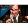 Harry Potter - Remus Lupin figure Classic or Deluxe, My Favourite Movie