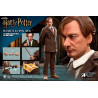 Harry Potter - Remus Lupin figure Classic or Deluxe, My Favourite Movie