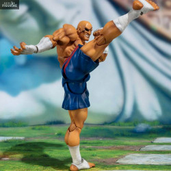 Street Fighter - Figurine...