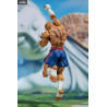 Street Fighter - Sagat Tamashii Web Exclusive figure, S.H. Figuarts
