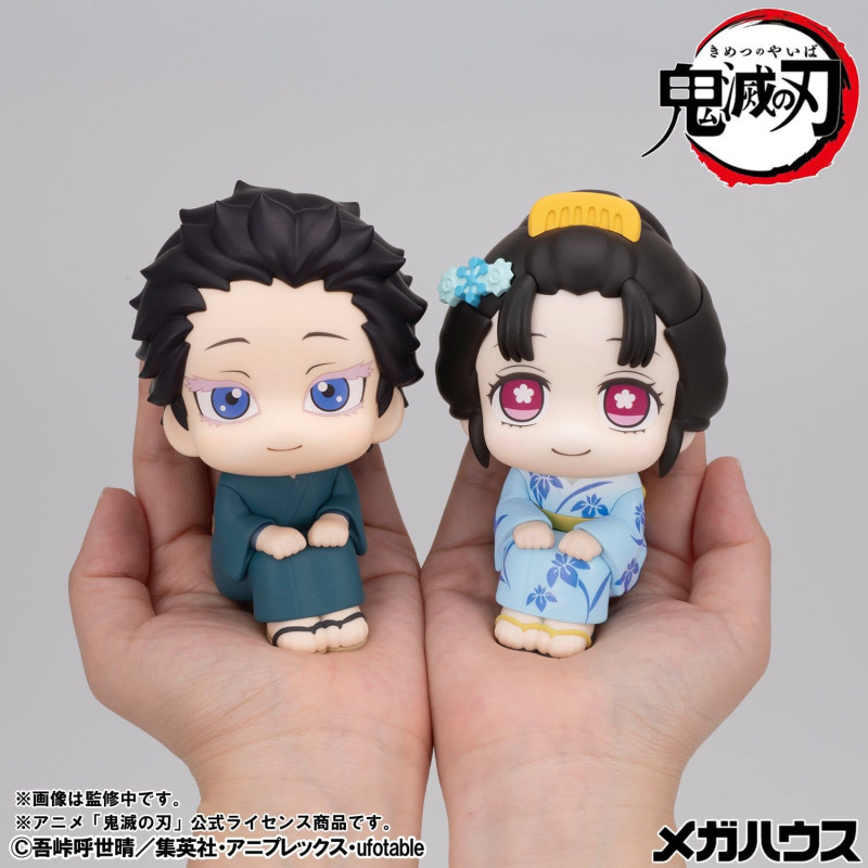PRÉCOMMANDE - Demon Slayer:...