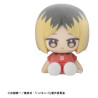 Haikyu!! - Pack 6 random figures Nuippo