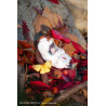 Original Character - The Arrival of Autumn figure, Normal Edition