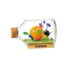 Pikmin - Pack complet, Terrarium