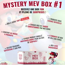 Mystery Mev Box 1 - Nintendo