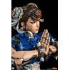 PRE ORDER - Street Fighter - Chun-Li figure, Android