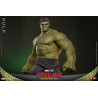 PREORDER - Marvel, Spider-Man Brand New Day - Hulk figure