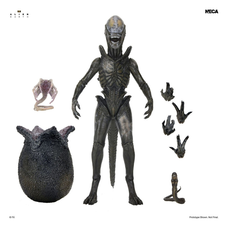 PRE ORDER - Alien: Earth -...
