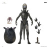 PRE ORDER - Alien: Earth - Wendy's Xenomorph figure, Ultimate