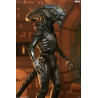 PRÉCOMMANDE - Alien: Earth - Figurine Wendy's Xenomorph, Ultimate