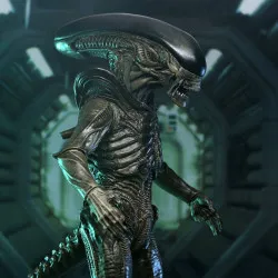PRÉCOMMANDE - Alien: Earth...