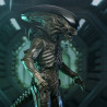 PRÉCOMMANDE - Alien: Earth - Figurine Xenomorph, Ultimate