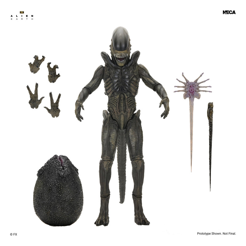 PRE ORDER - Alien: Earth -...