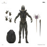 PRE ORDER - Alien: Earth - Xenomorph figure, Ultimate