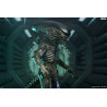 PRÉCOMMANDE - Alien: Earth - Figurine Xenomorph, Ultimate