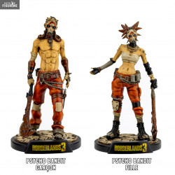 Borderlands 3 - Psycho...