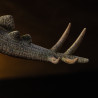 PRE ORDER - The Lost World: Jurassic Park - Stegosaurus figure, Icons