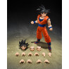 PRÉCOMMANDE - Dragon Ball Z - Figurine Son Goku (The Kind-Hearted Saiyan), S.H.Figuarts