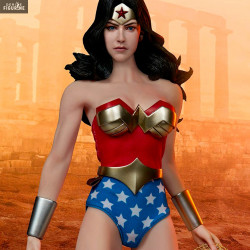 DC Comics - Figurine Wonder...