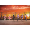 PREORDER - Monogatari Series - Pack 6 figures, CHILLfigg