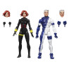 Marvel Avengers - Pack 2 figurines Black Widow & Quicksilver, Legends
