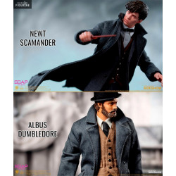 Fantastic Beasts: The...
