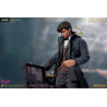Fantastic Beasts: The Crimes of Grindelwald - Figure Newt Scamander or Albus Dumbledore