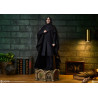 PREORDER - Harry Potter - Severus Snape figure, Premium Format Mixed Media